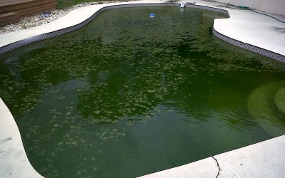 Piscina com Água Verde? Saiba Resolver!