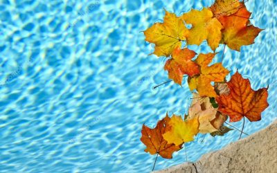 Como cuidar da Piscina no Outono?